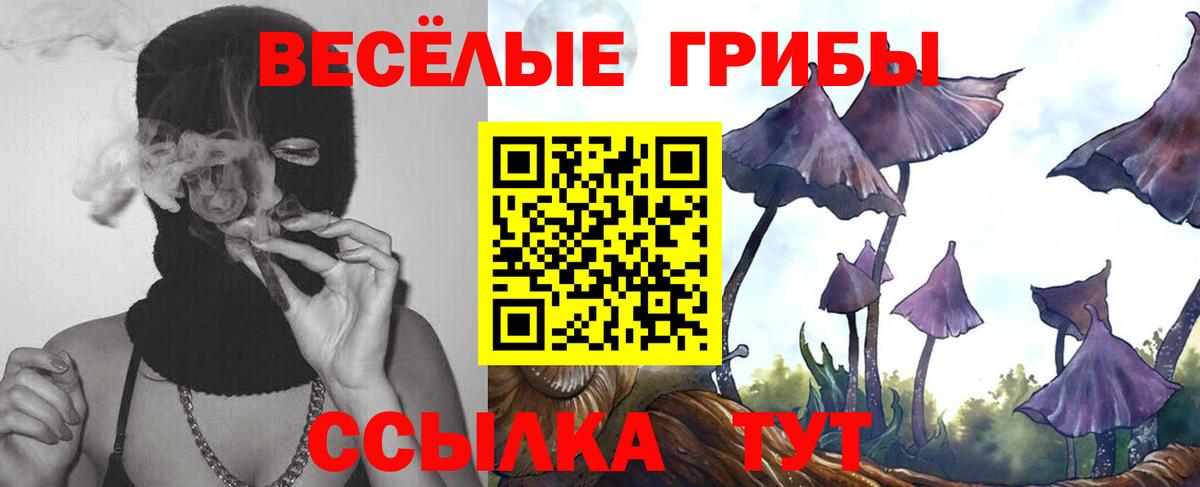 Галлюциногенные грибы ЛСД  Галлюциногенные грибы Cubensis  где можно купить   Вход с VPN  Тара 